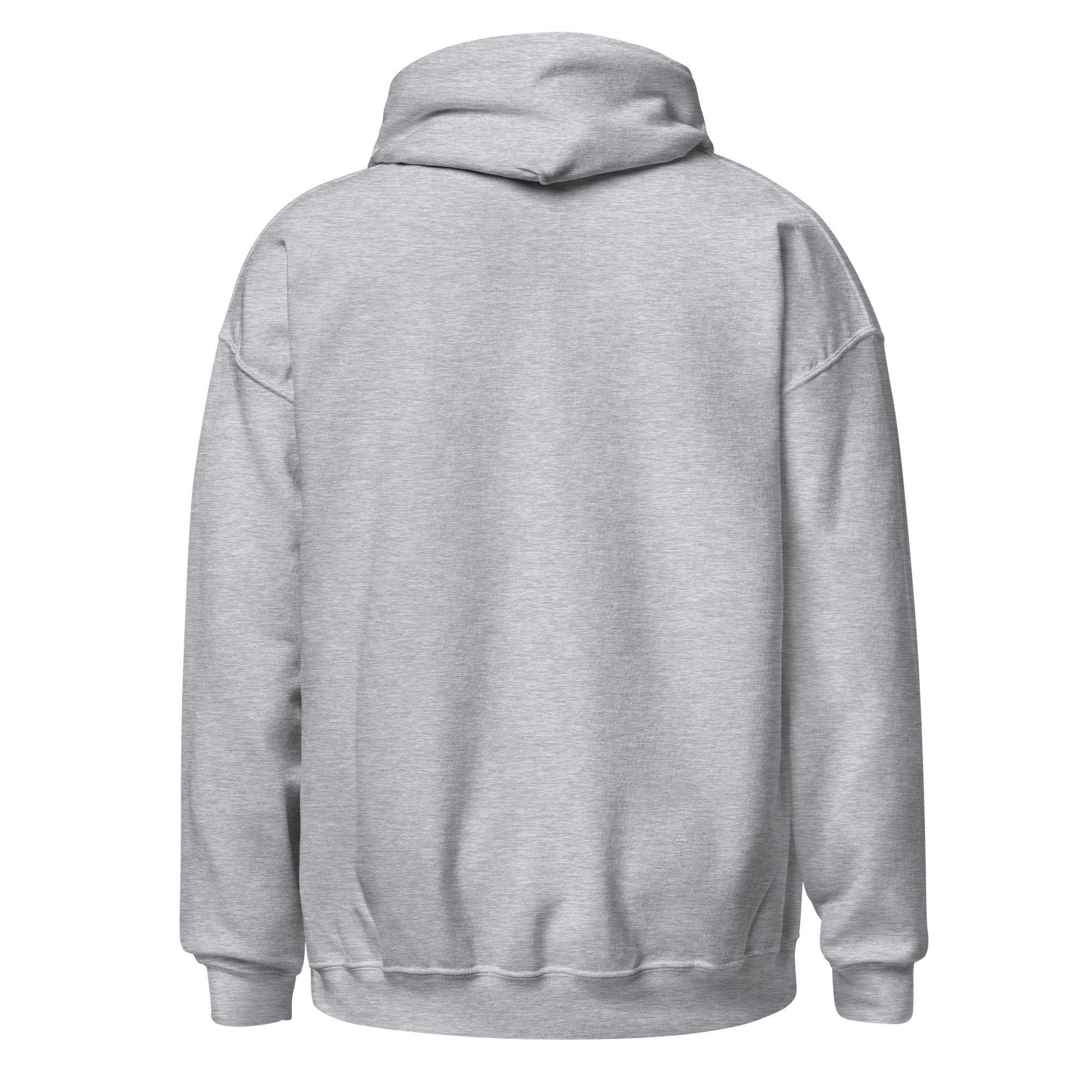 Back view of a soft gray Unisex Hoodie with a double-lined hood and matching drawcord.